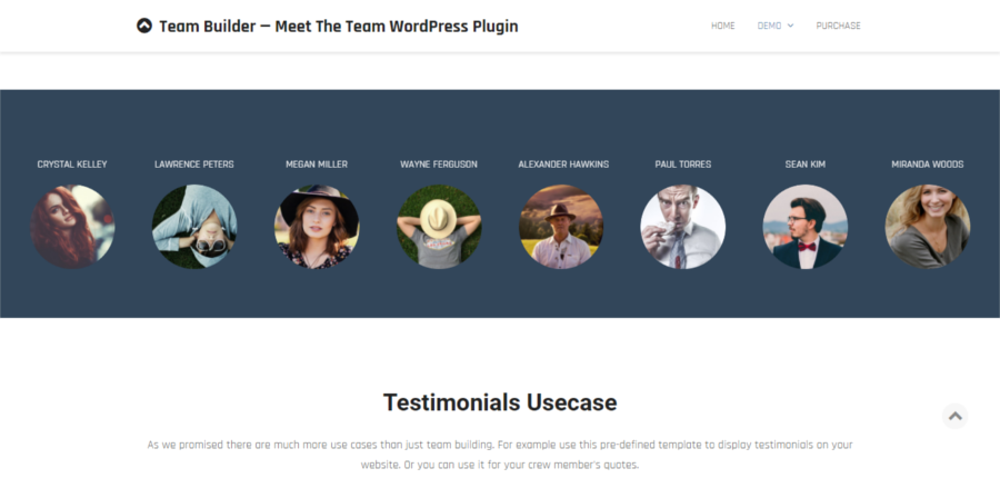 Team Builder: conozca el complemento Team Premium de WordPress