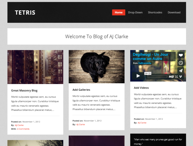 Tetris Free Masonry Theme for WordPress