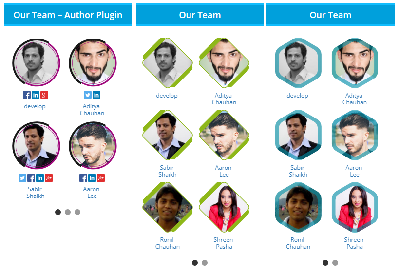 WordPress Plugin Blog Author 3 a fancy author list