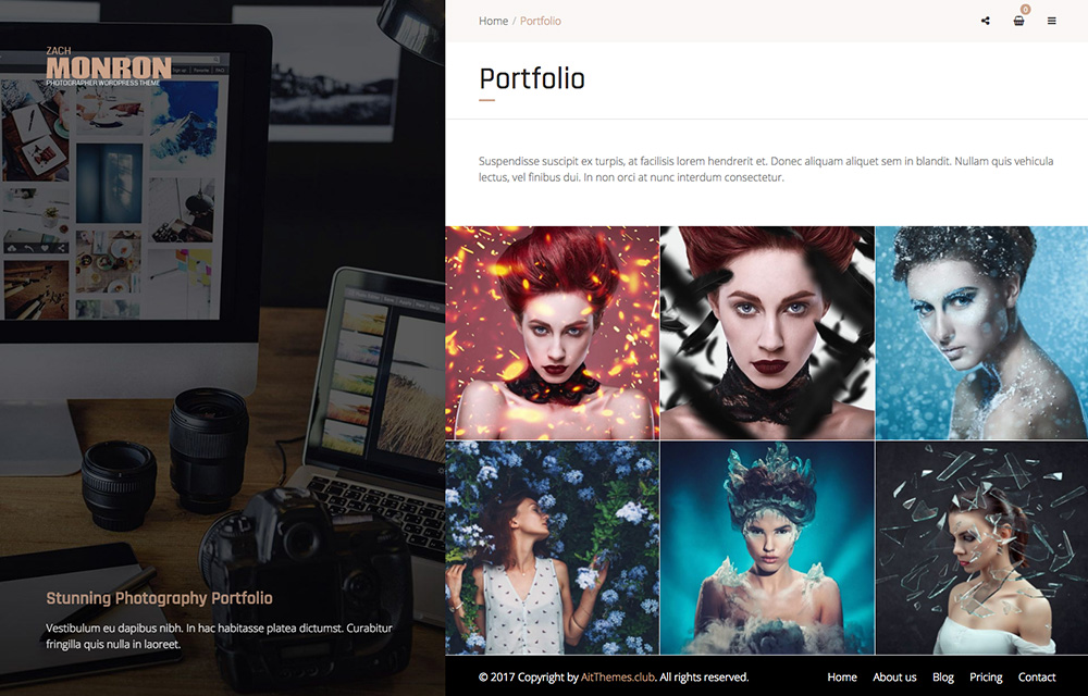 Photographer Online Portfolio WordPress Theme