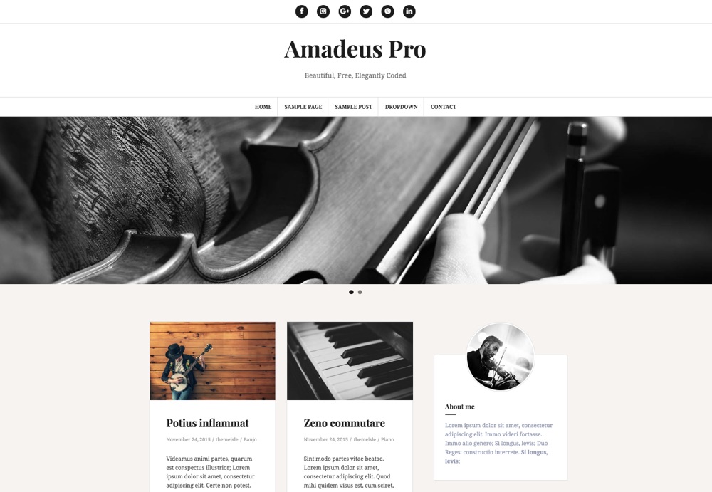 Amadeus Pro WordPress Blogging Theme