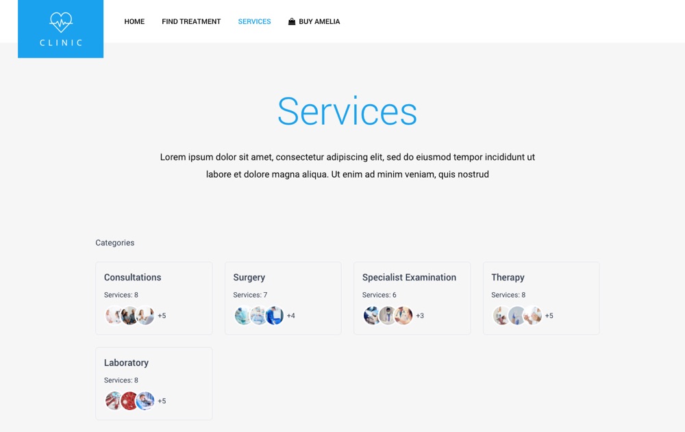 Amelia Booking Plugin Review: Services & Categories Catalogue