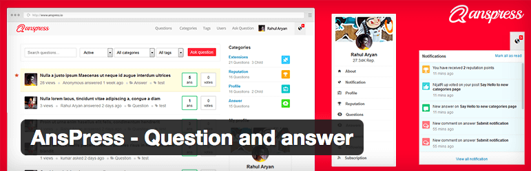 AnsPress Question and Answer plugin