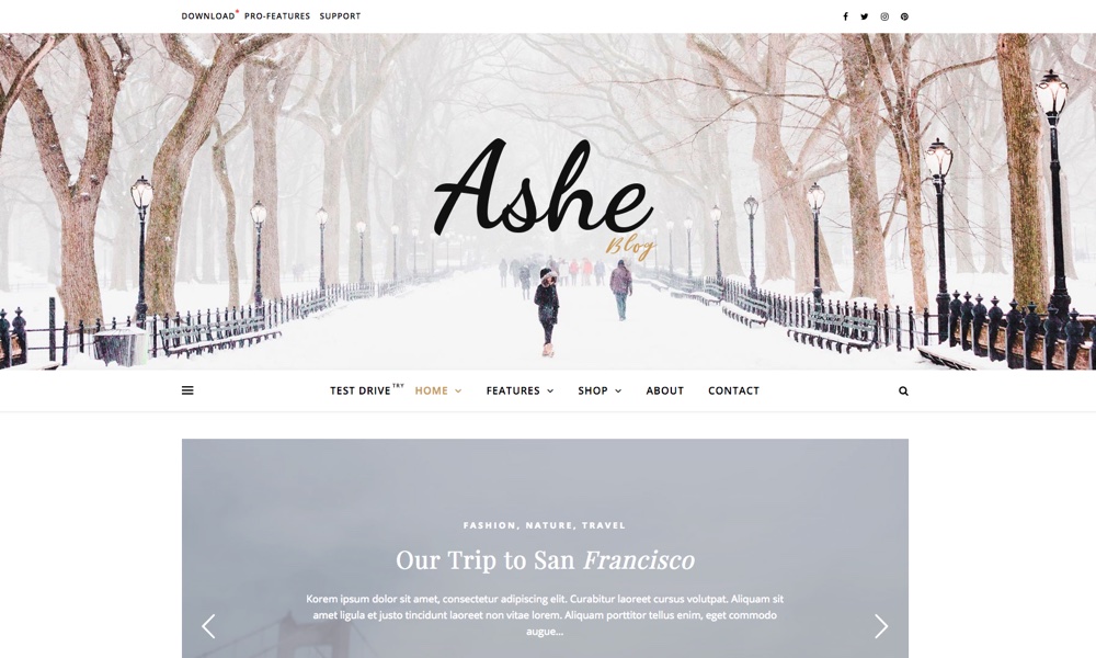 Ashe Personal & Multi-Author Free WordPress Blog Theme