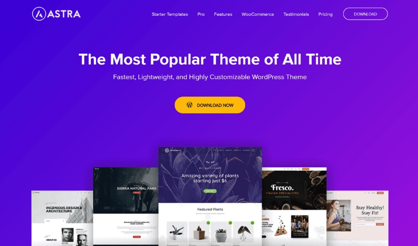 Astra WordPress Theme