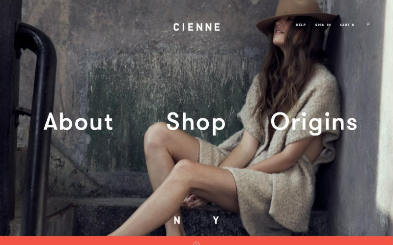 Awesome Examples of WordPress: Cienne NY
