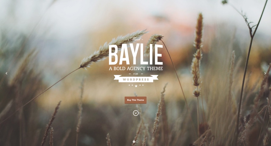 Baylie WordPress Theme