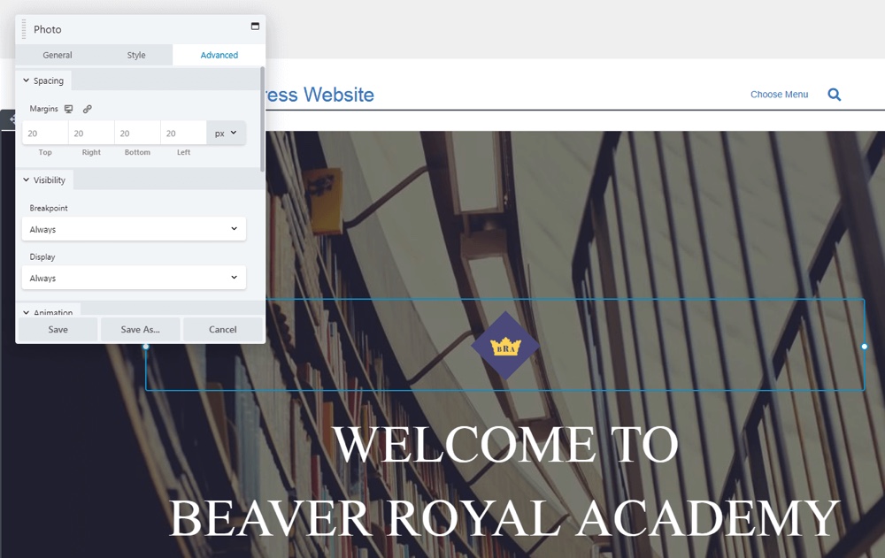 Beaver Builder Advanced Settings