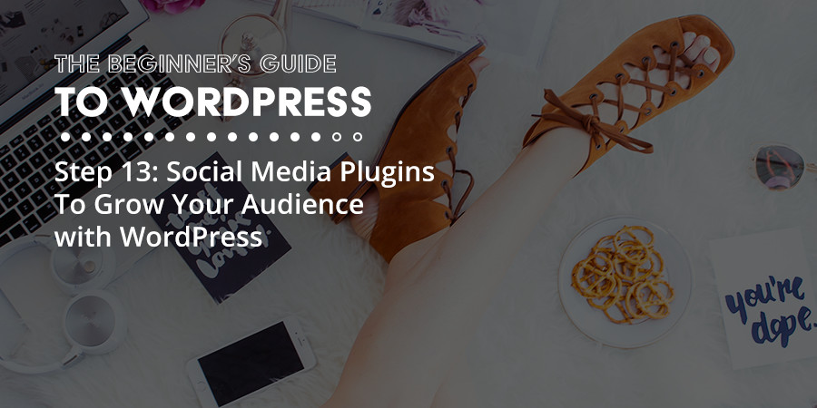 Social Media WordPress Plugins to Grow Your Audience