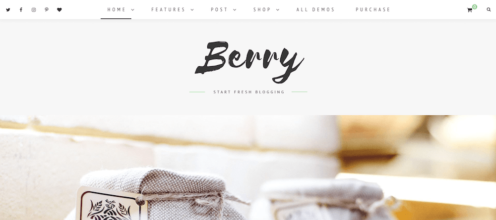 Berry Blog and Shop Theme