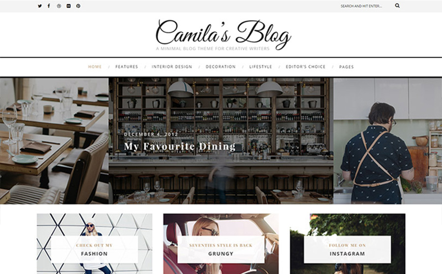 Camila Minimal Blog WordPress Theme