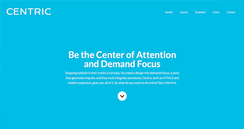 centric-wp-theme