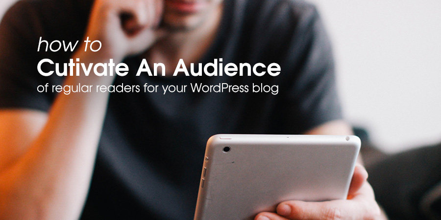 How to Cultivate an Audience for Your WordPress Site
