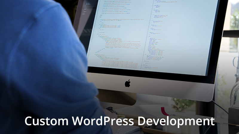 Custom WordPress Product Development