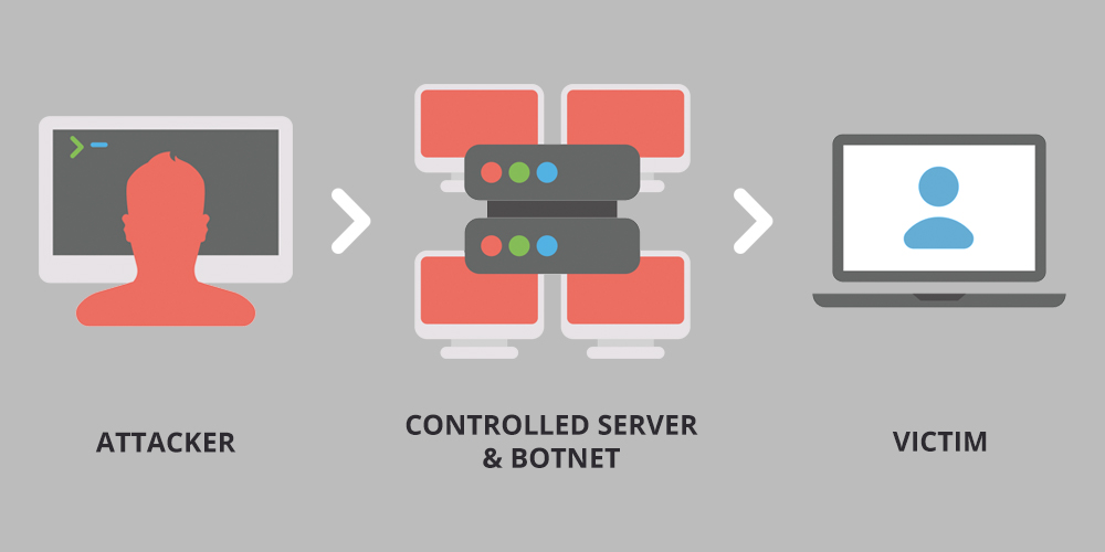 What is a DDoS Attack?