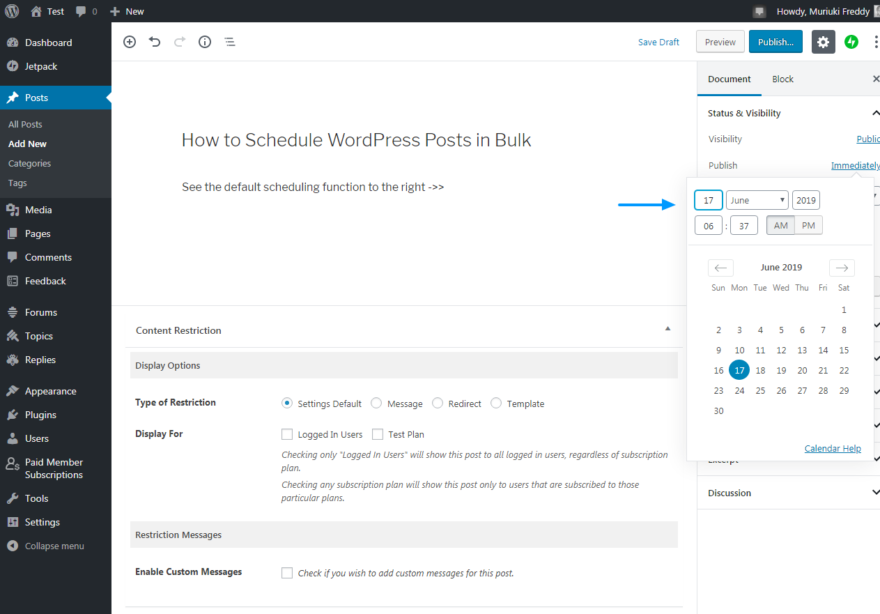 default wordpress post schedule feature