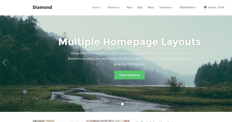 diamond-wp-theme