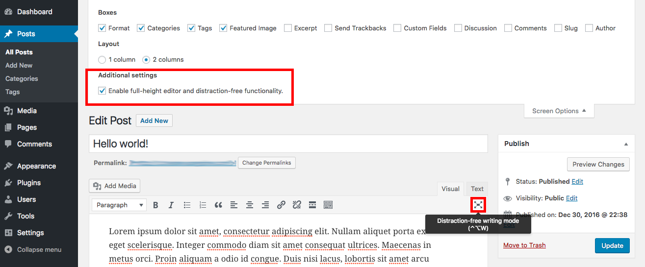 WordPress Distraction Free Writing