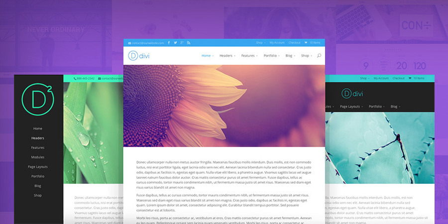 Divi Flexible WordPress Theme for Infoprenuers