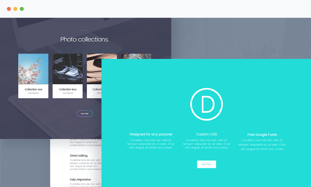 Best WordPress themes: Divi WordPress Theme