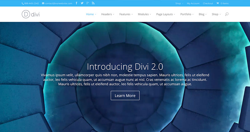 divi-wp-theme