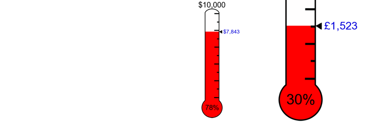 Donation Thermometer Plugin