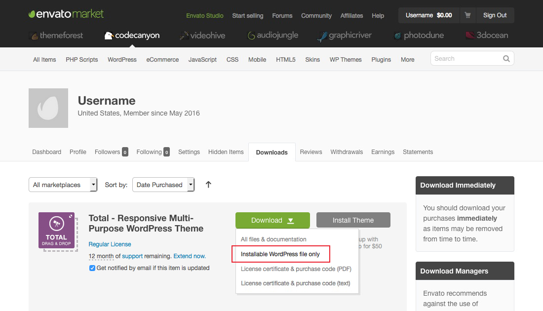 Download WordPress Theme