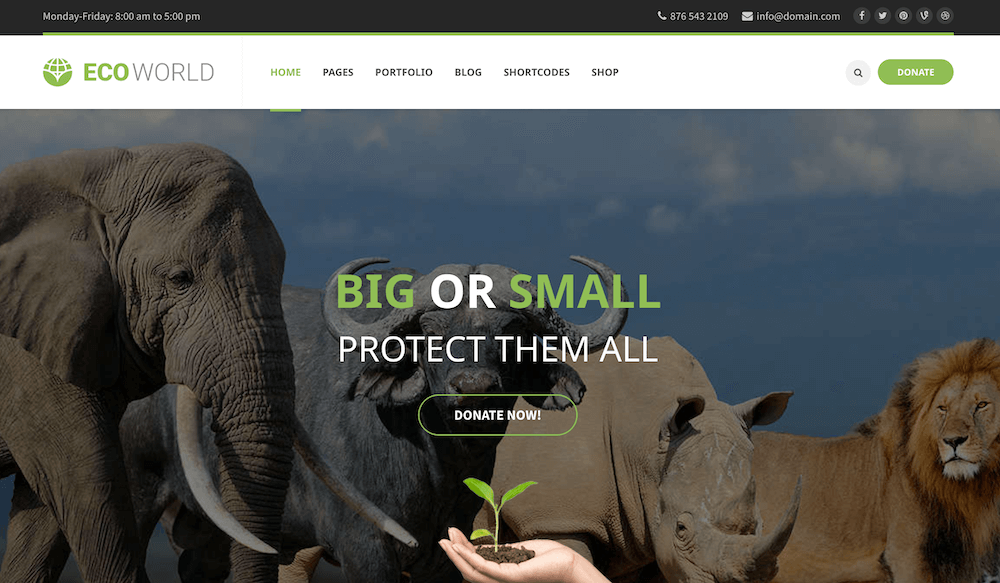 Eco World - Nature and Environmental WordPress Theme