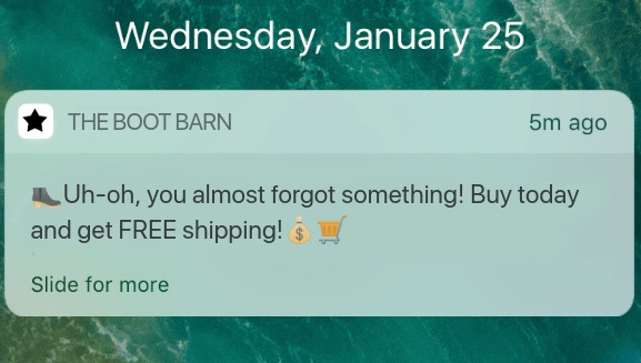 eCommerce Push Notification