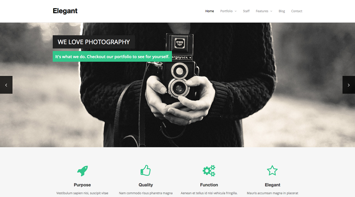 elegantportfoliotheme