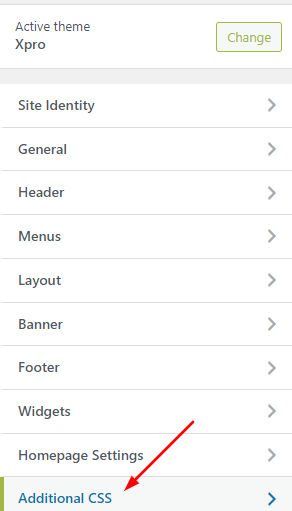Customizer CSS option