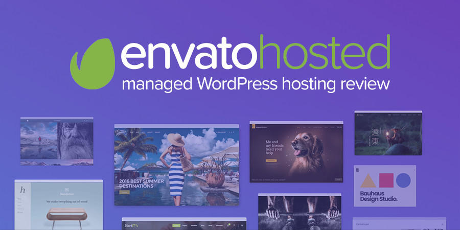 Envato Hosted Managed WordPress Hosting Review