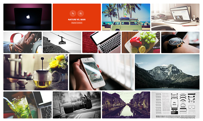 essential grid portfolio wordpress plugin