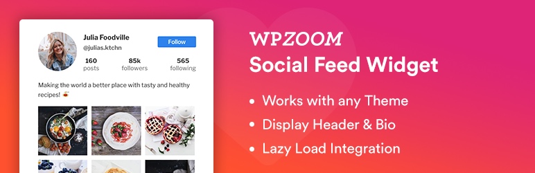 WPZOOM widget de alimentación social