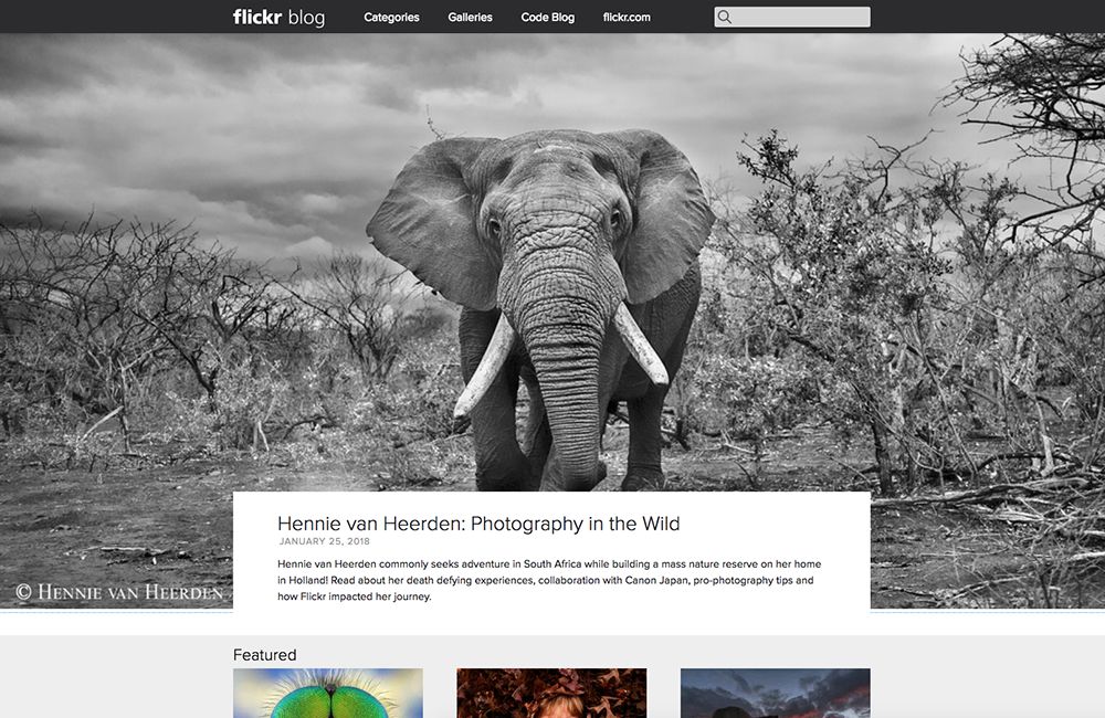 Big Name Brands That Use WordPress: Flickr Blog