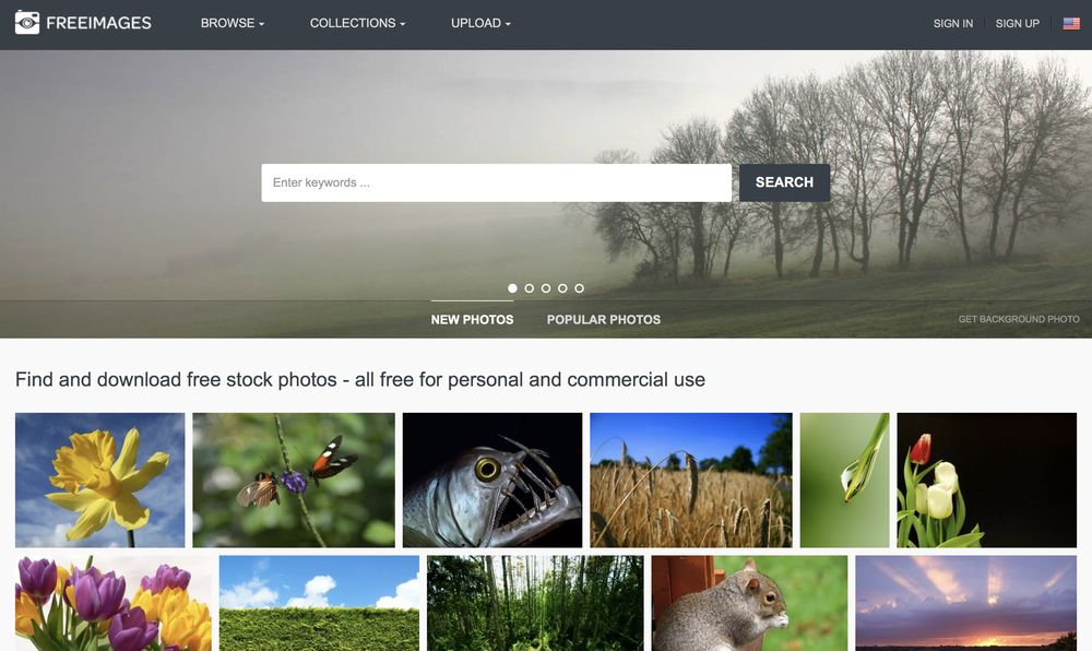 freeimages alta resolución free stock photos wpexplorer