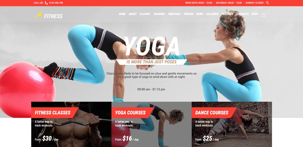 Fitness Sport Gym WordPress Theme