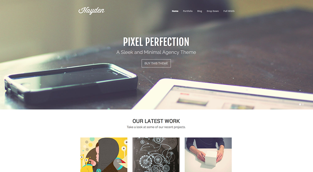 Hayden Premium Agency WordPress Theme