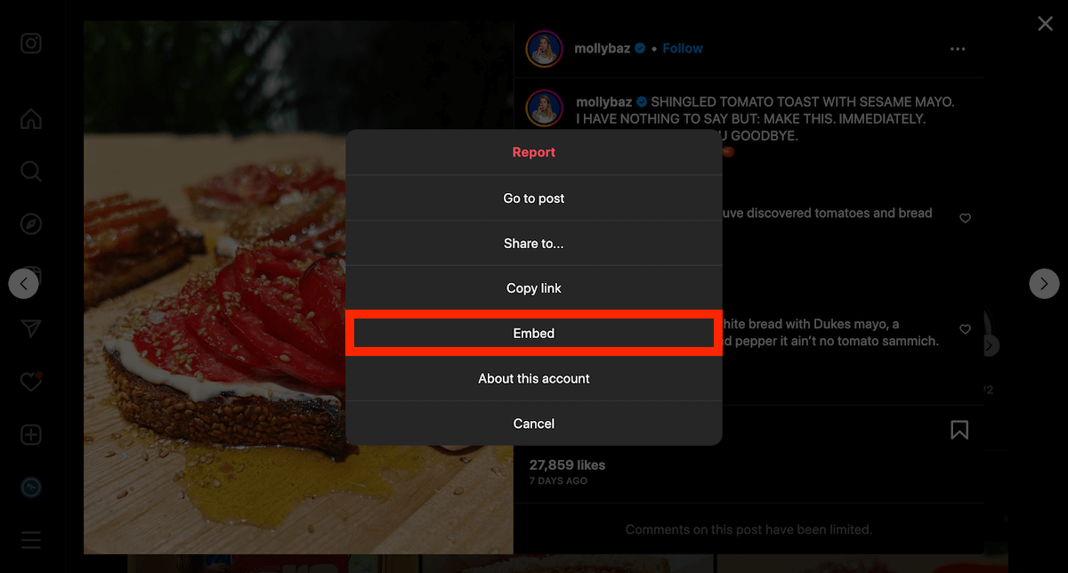 Select the Instagram embed option