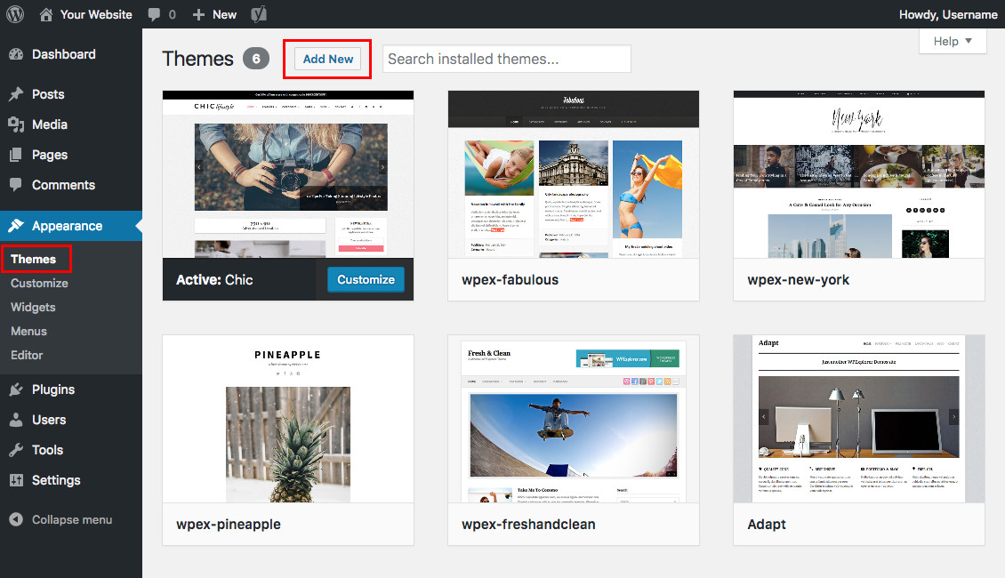 Install a WordPress Theme