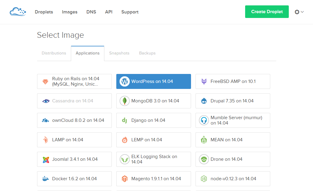 Install & Configure WordPress in DigitalOcean WPExplorer