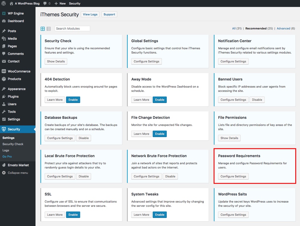 iThemes Security Settings