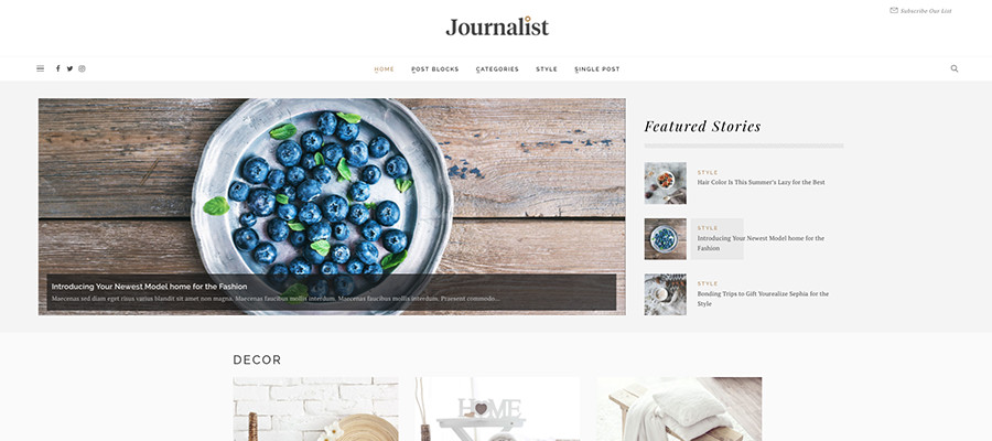 Journalist Magazine WordPress Theme