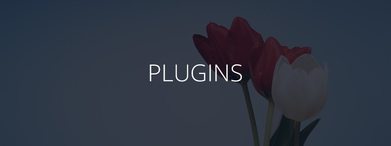 july-4-plugin-discounts