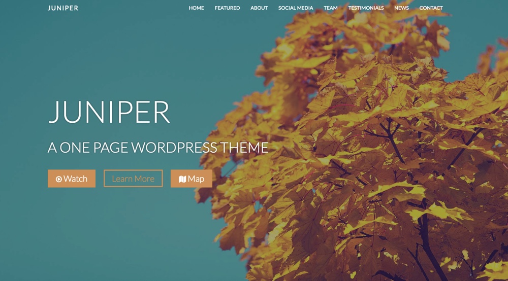 Juniper WordPress Theme