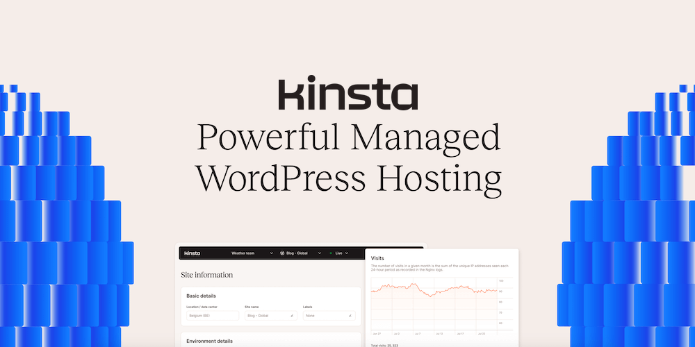 Kinsta Hosting Overview & Guide (2024)