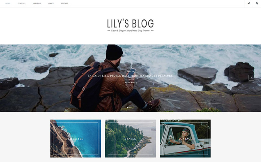 Lily Daily Blog WordPress Theme