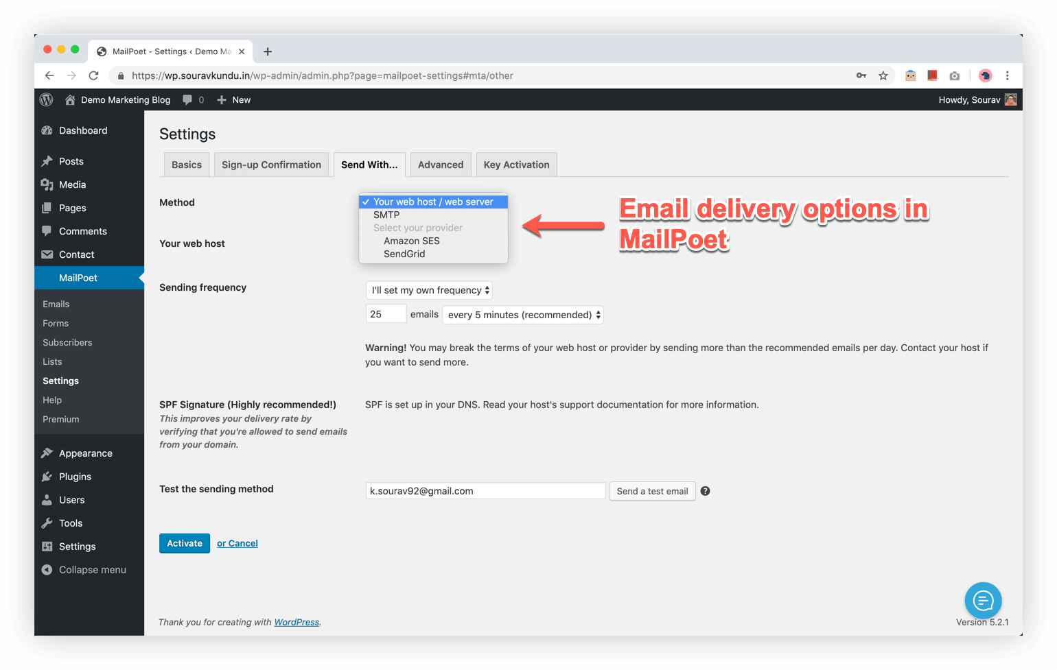 Email Delivery Options in MailPoet