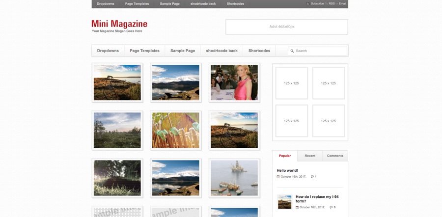 Mini Magazine Light Theme