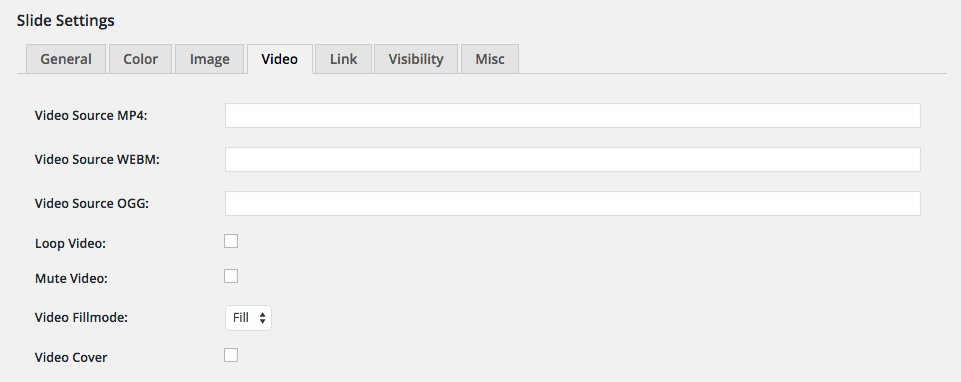 MotoPress Slider Video Settings